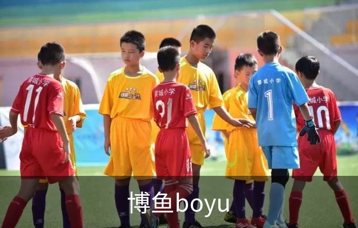 关于博鱼boyu